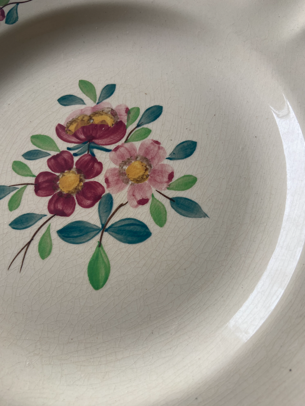 Assiette plates Amazonas #id5