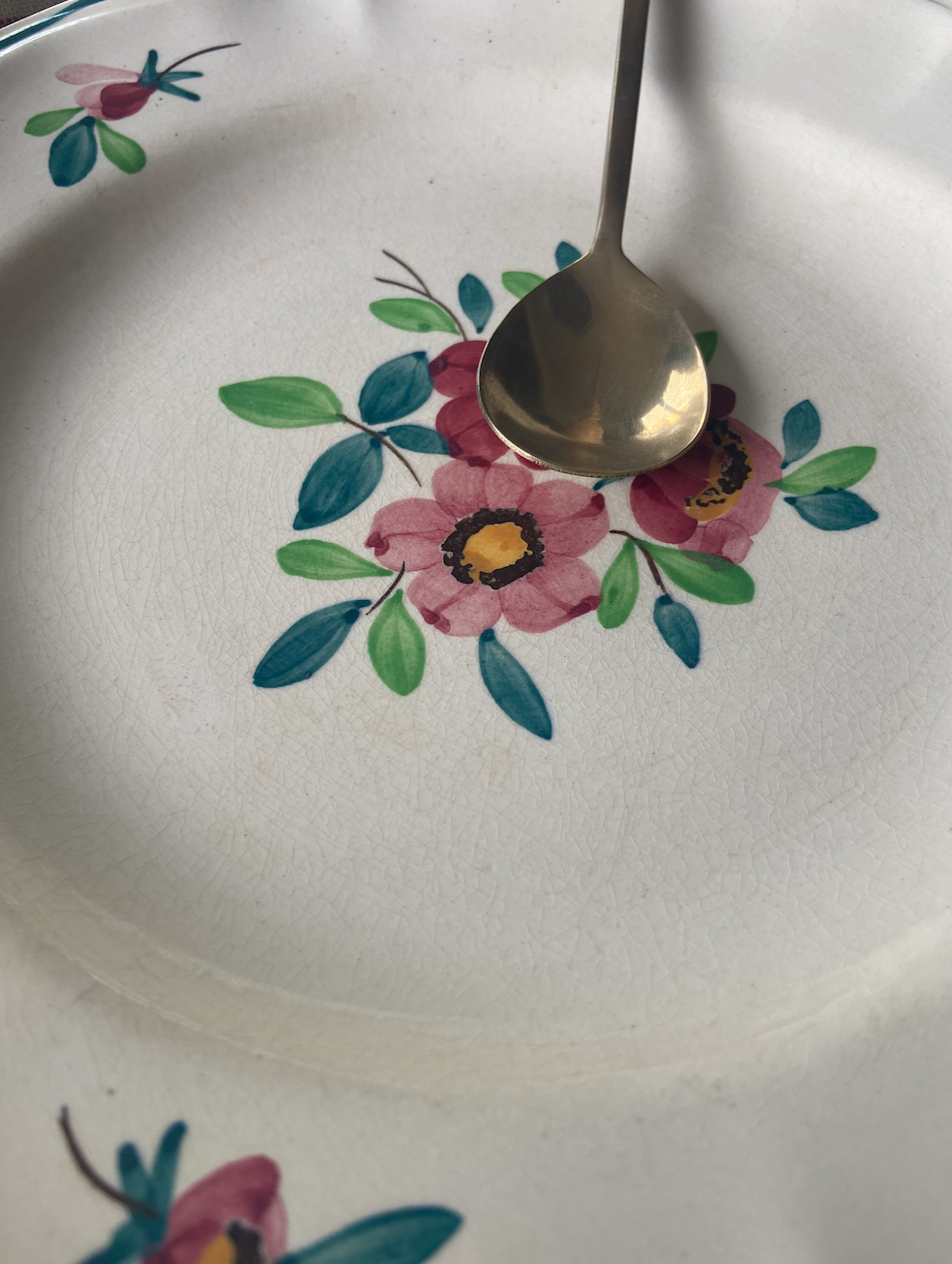 Assiette plates Amazonas #id5