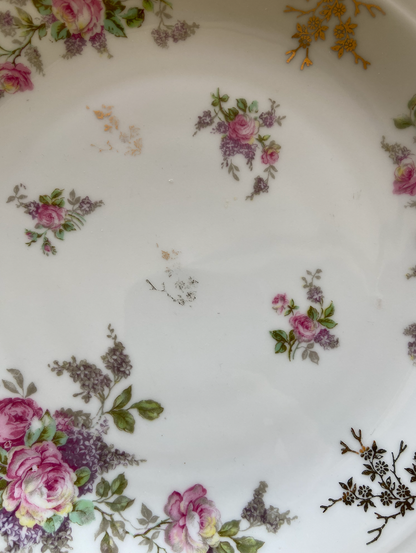 Assiettes Plates Limoges #id9