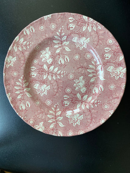 Service dessert Velvet