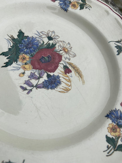 Assiettes Agreste Creuses #id37