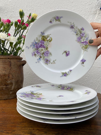 Assiettes Limoges - Violettes