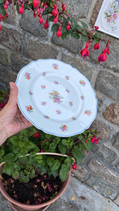 Assiettes Limoges Pallas