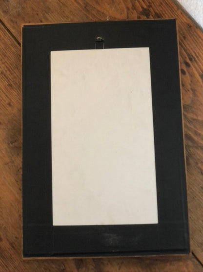 Cadre vintage avec plumes