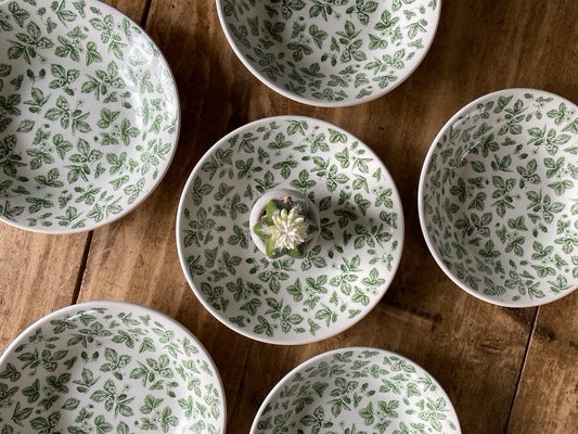 Assiettes anglaises blanc/vert