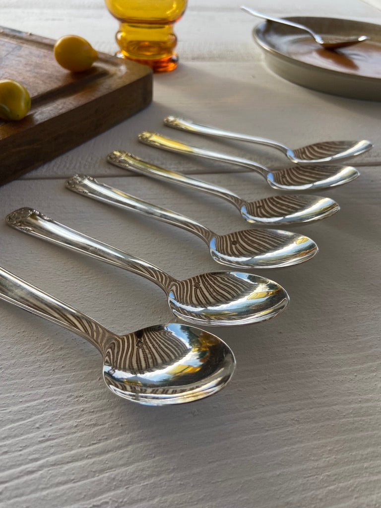 Série de 6 cuillères
