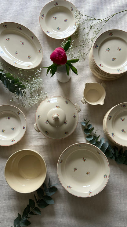 Assiettes & plats Périgord