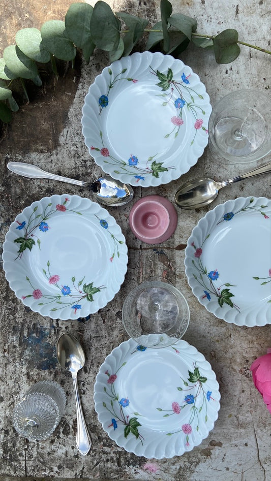 Assiettes Haviland #id17