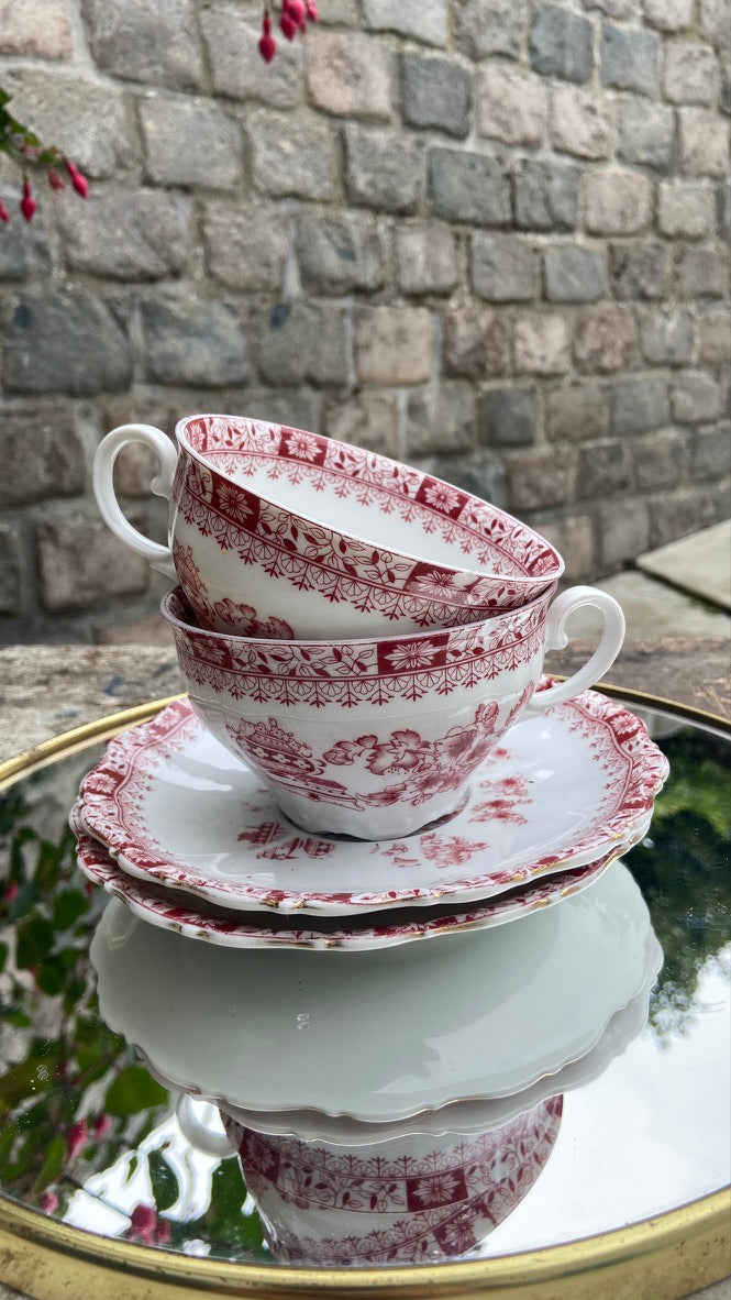 Duo de tasses Theresia #id38