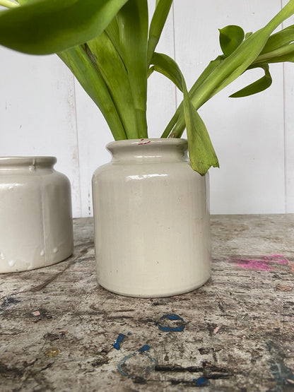 Duo petits pots crème