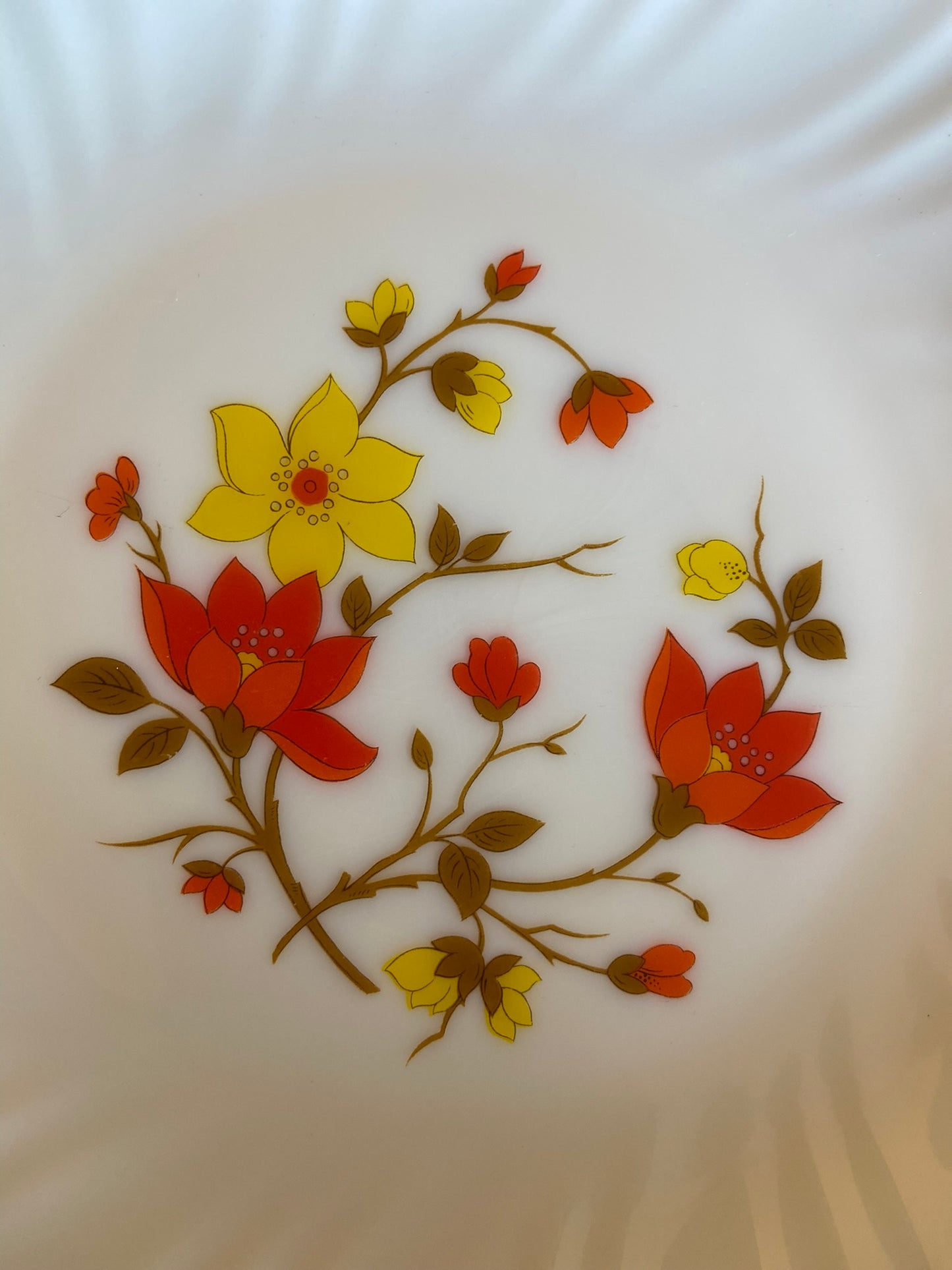 Assiettes dessert Arcopal