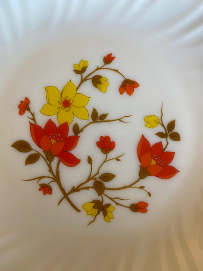 Assiettes dessert Arcopal