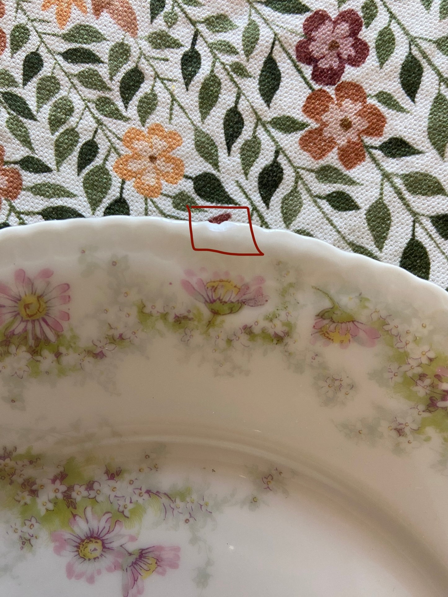 Assiettes Emile Bourgeois, Spring