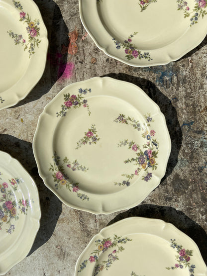 Assiettes Limoges Crème