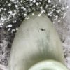 vase vintage