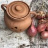 pot oignon ancien en terre
