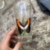 verres vintage papillon