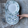 assiettes terre de fer