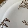 terre de fer oiseaux