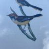 Paire d’anciens Oiseaux – Image 4
