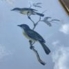 Paire d’anciens Oiseaux – Image 5