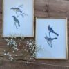 Paire d’anciens Oiseaux